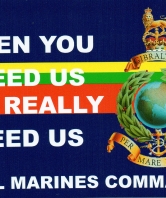 When you need us Car Sticker