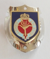 Welsh Guards Walking Stick Mount