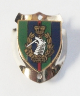 RADC (Royal Army Dental Corps) Walking Stick Mount