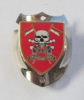 Queens Royal Lancers Walking Stick Mount