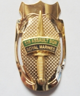539 Assault Squadron Walking Stick Mount