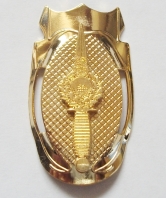 Royal Marines Gold Globe and Laurel Dagger Walking