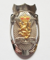Royal Regiment of Scotland Saltyre Walking Stick M