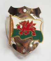 Wales Flag Walking Stick Mount